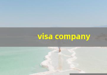 visa company